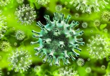 După tulpina britanică și africană, coronavirusul are și o tulpină românească ce reduce eficiența vaccinurilor anti-covid